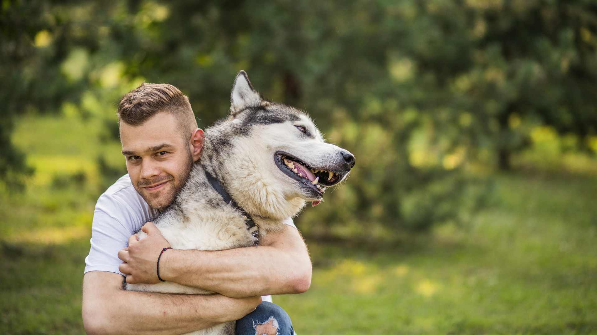 Cuidados de un Perro: Guía Completa
