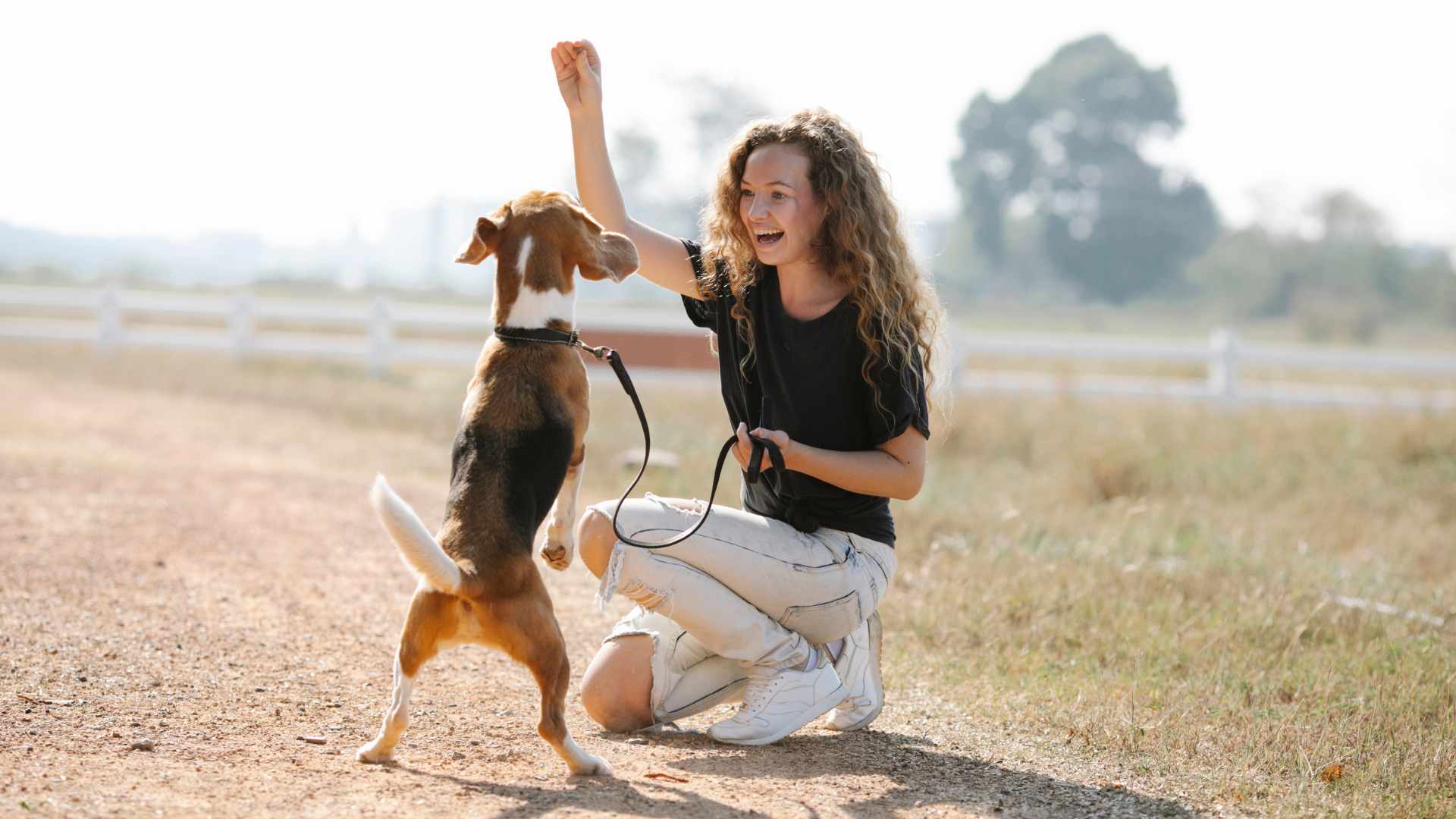 Trucos para Perros que son Fáciles de Aprender