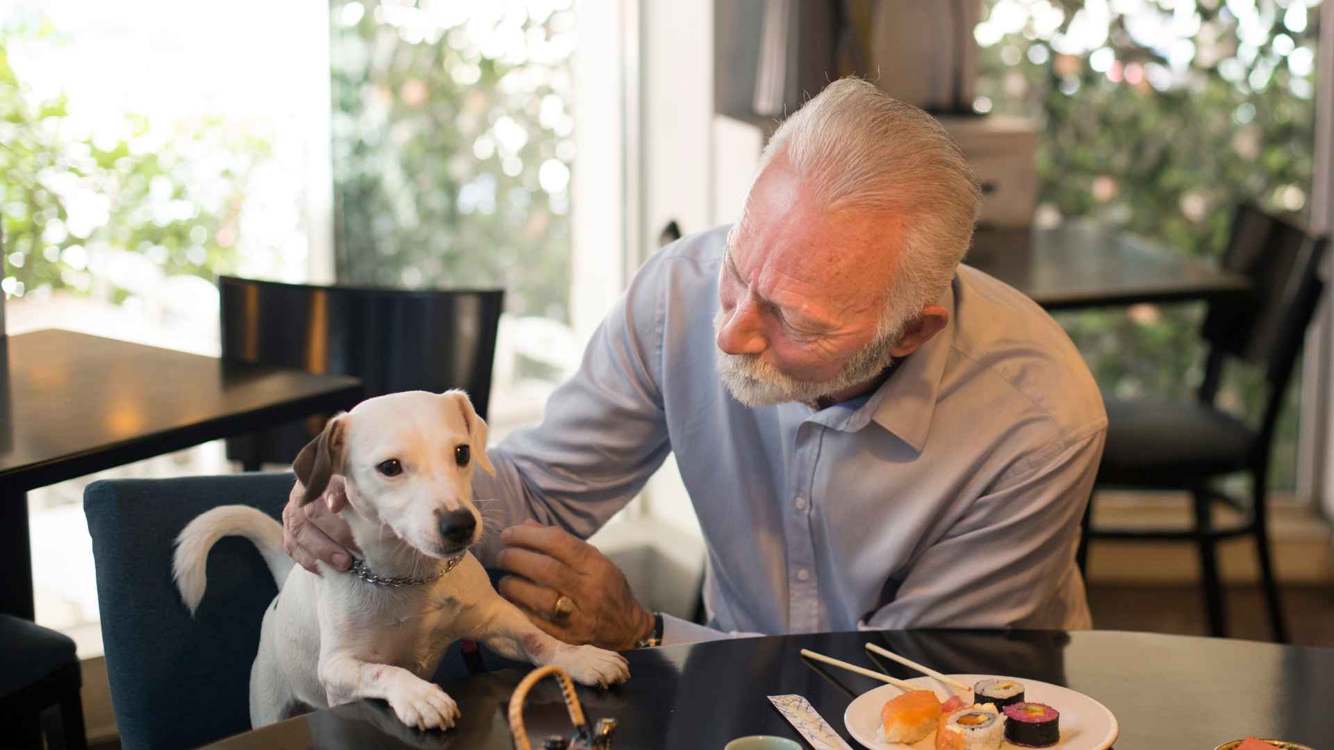 Lugares Pet Friendly que Puedes Visitar en Concepción