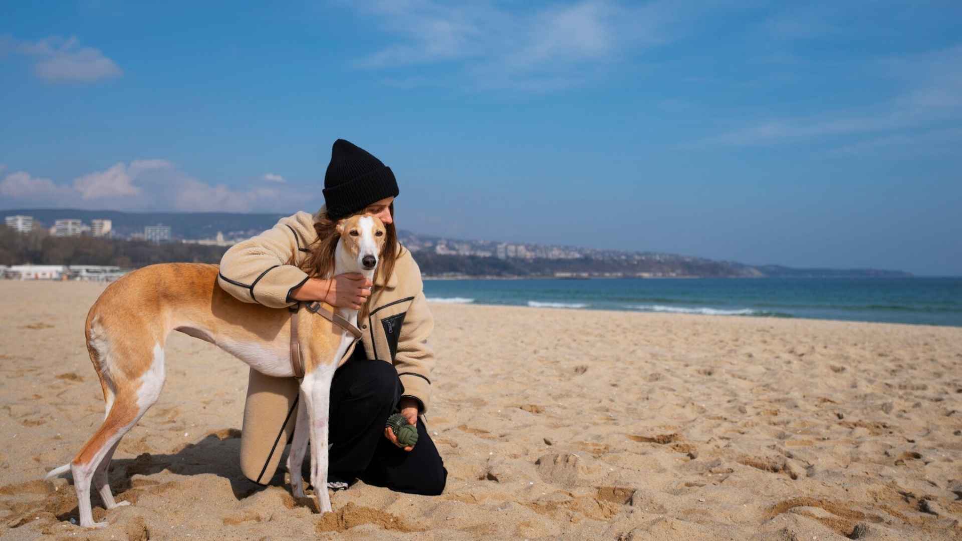 Lugares Pet Friendly que Puedes Visitar en Viña del Mar y Valparaíso