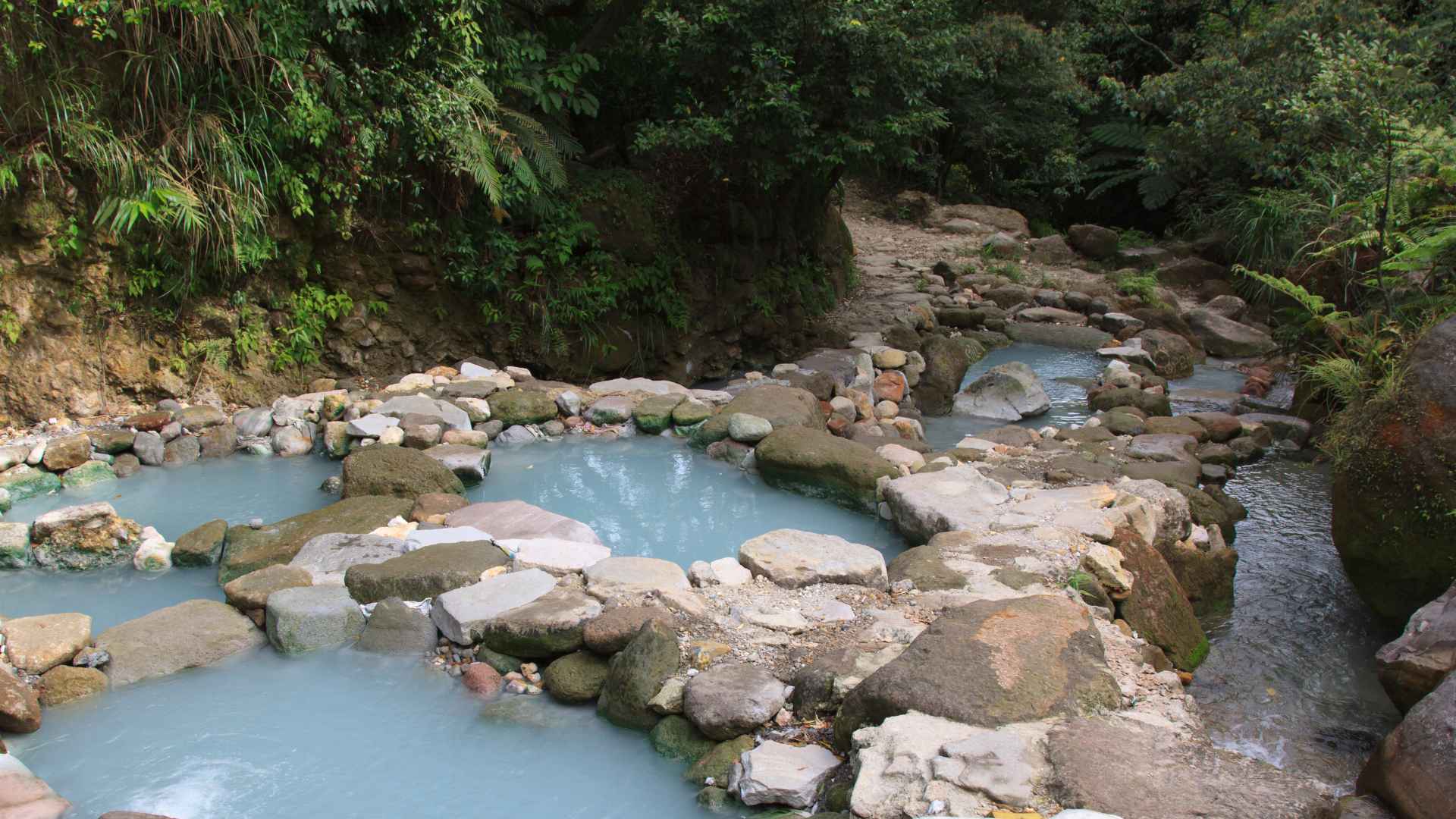 Termas Pet Friendly: Opciones Disponibles